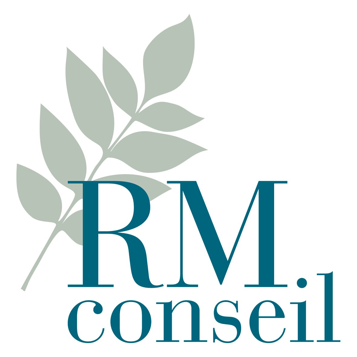RMConseil